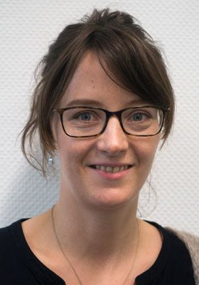 Soziale Beratung, Projektentwicklung